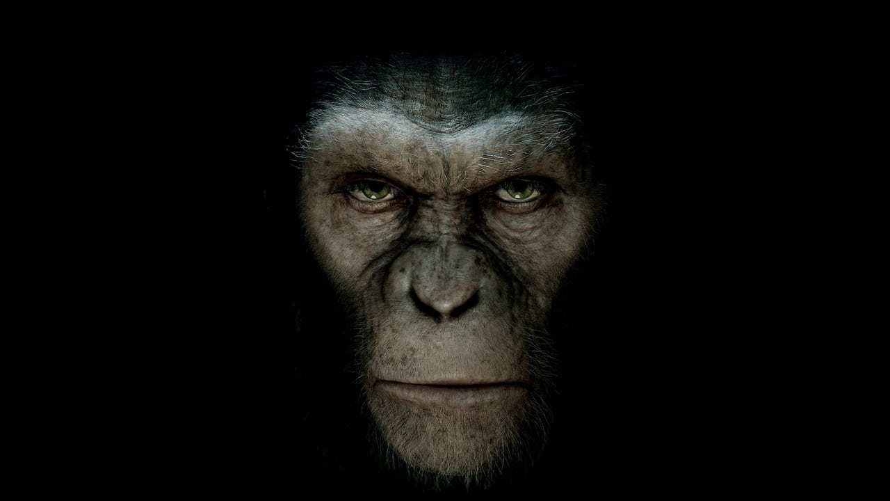 Artwork for Rise of the Planet of the Apes