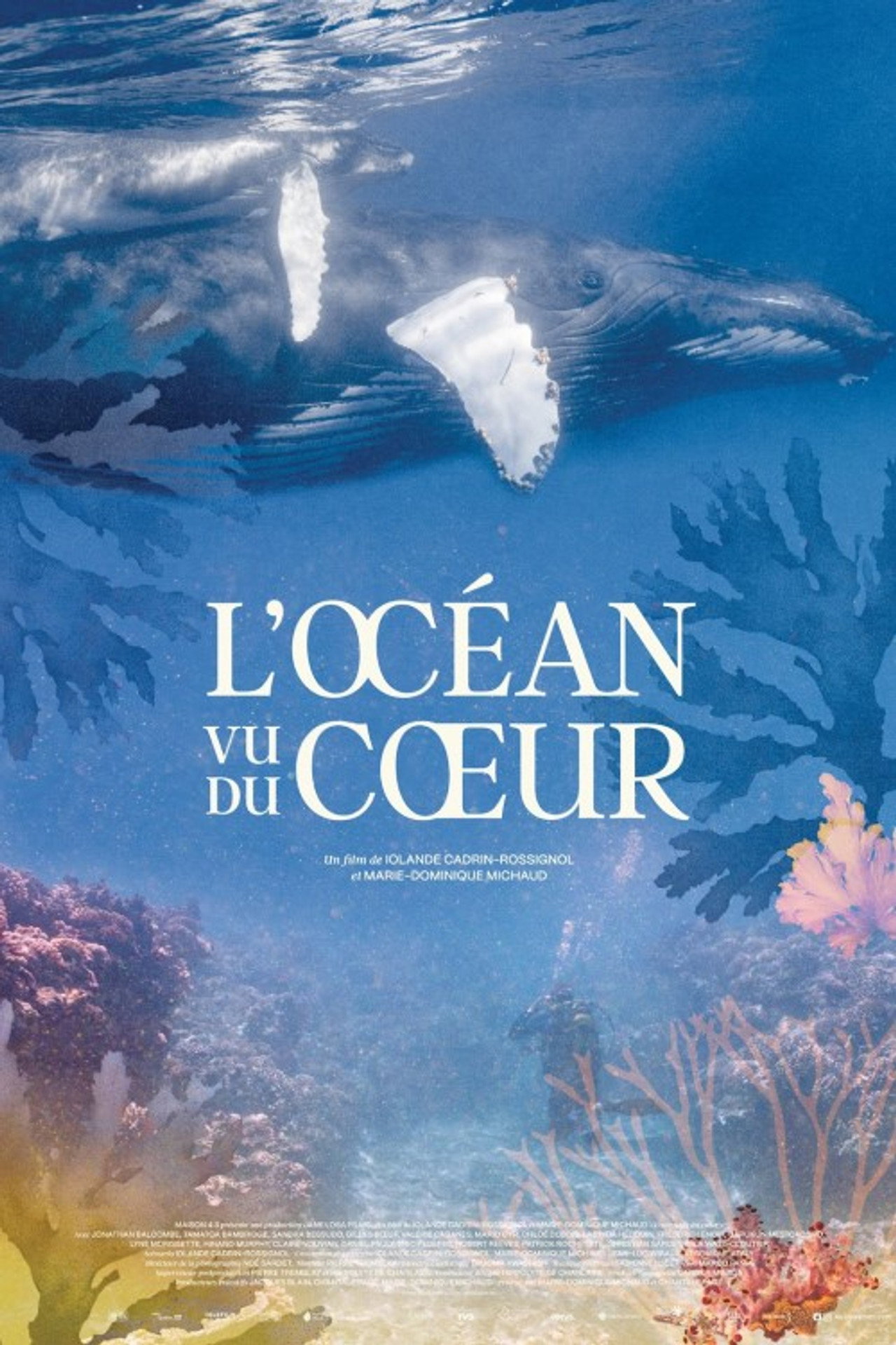 L'Océan vu du coeur