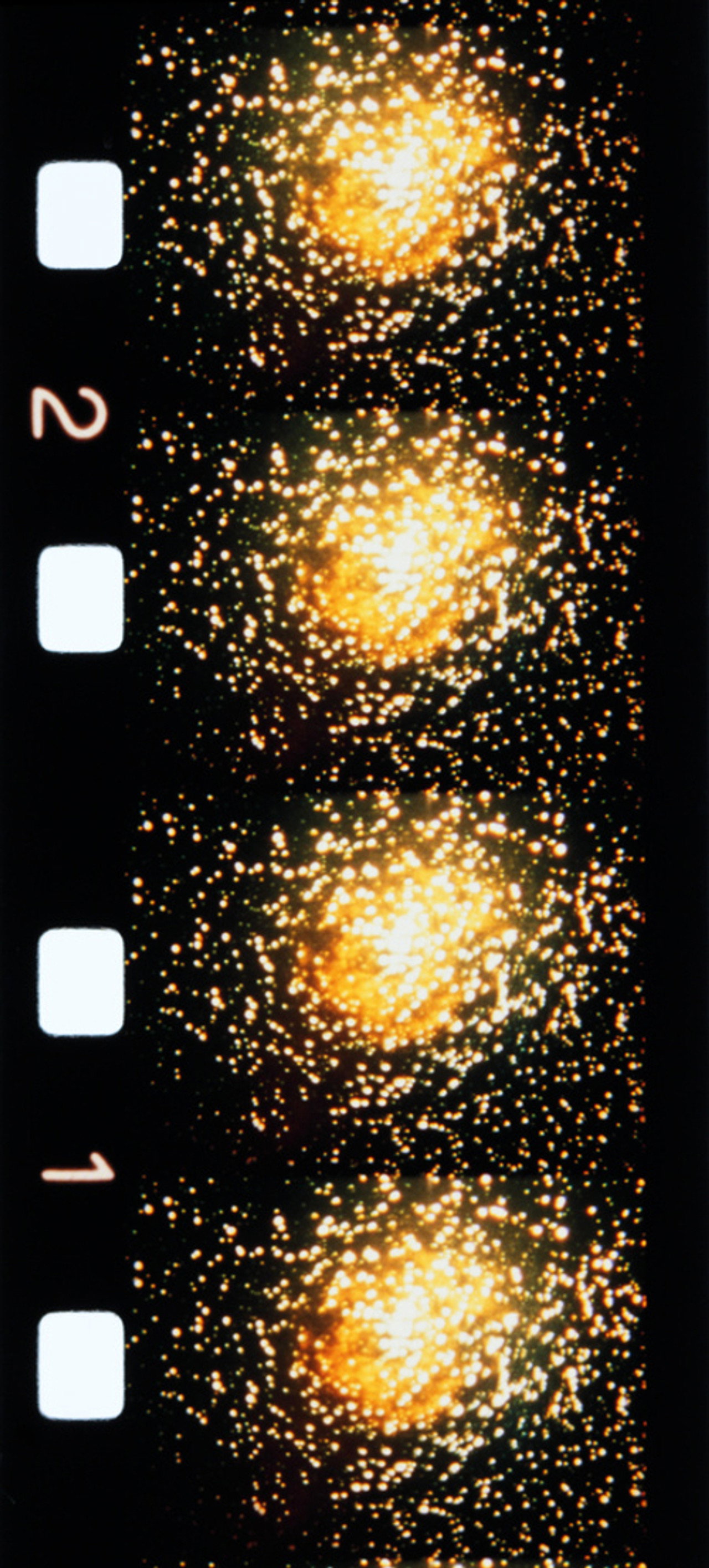 Le grain de la peau filmaffisch