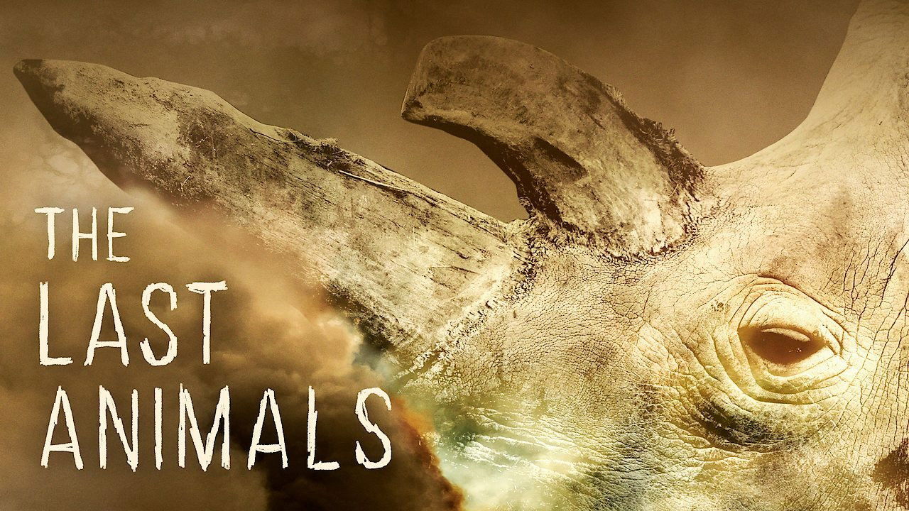 The Last Animals