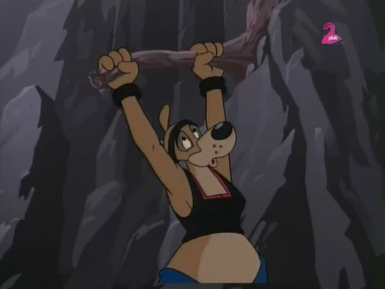 Kangoo — Raid à Westland