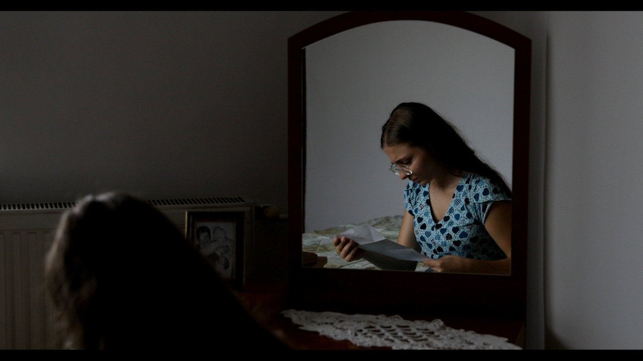 Colivia still 8