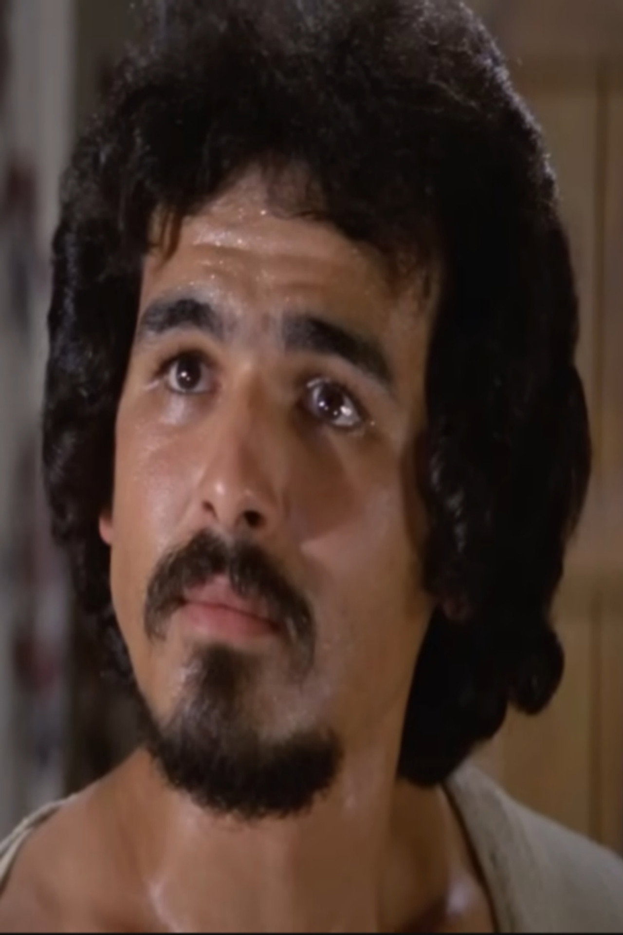 Muhammad al-Arabi