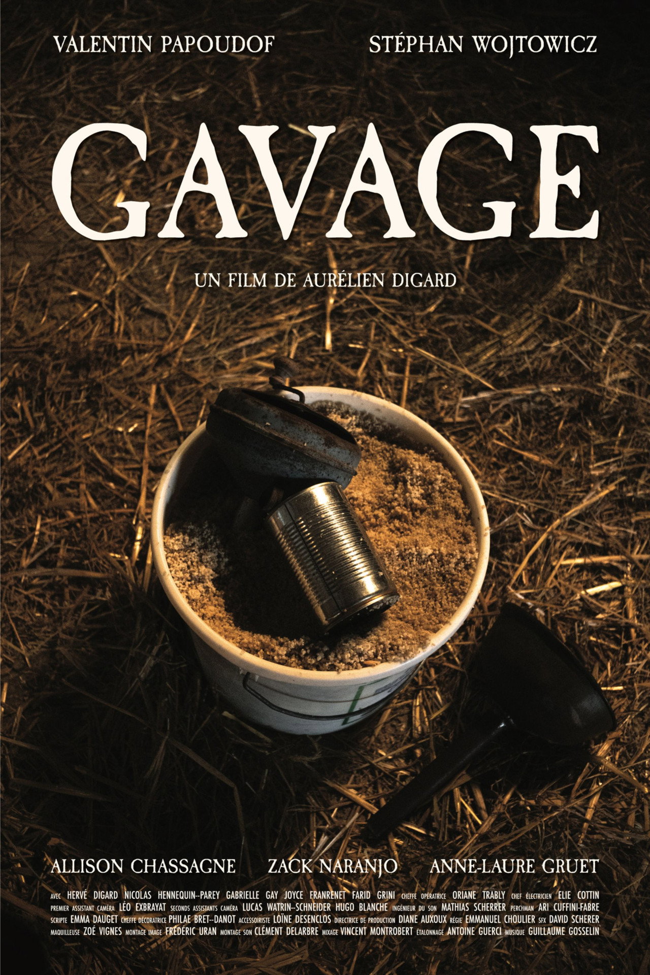 Gavage