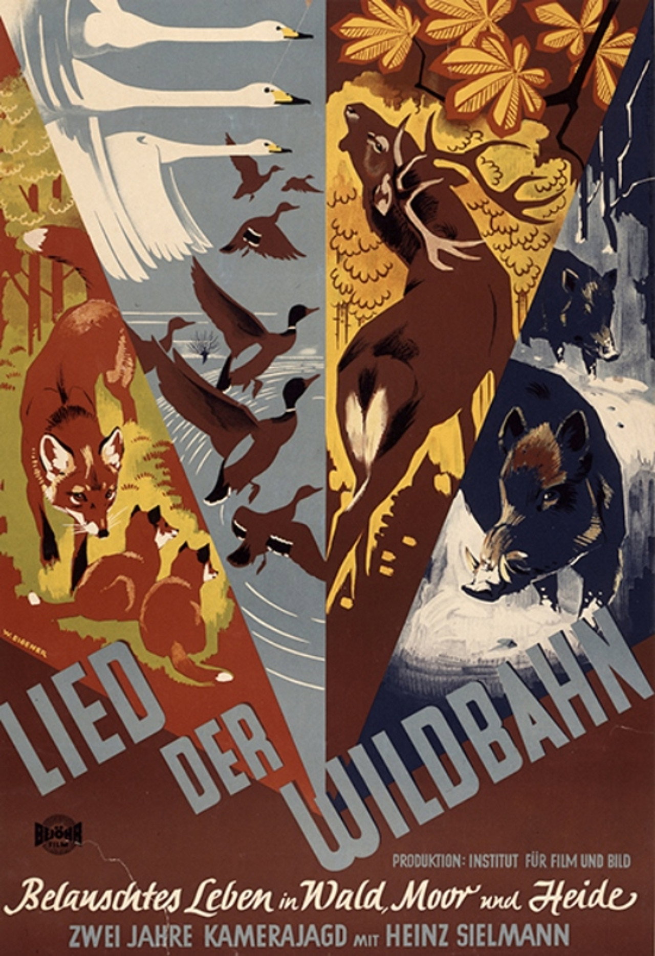 Lied der Wildbahn filmaffisch