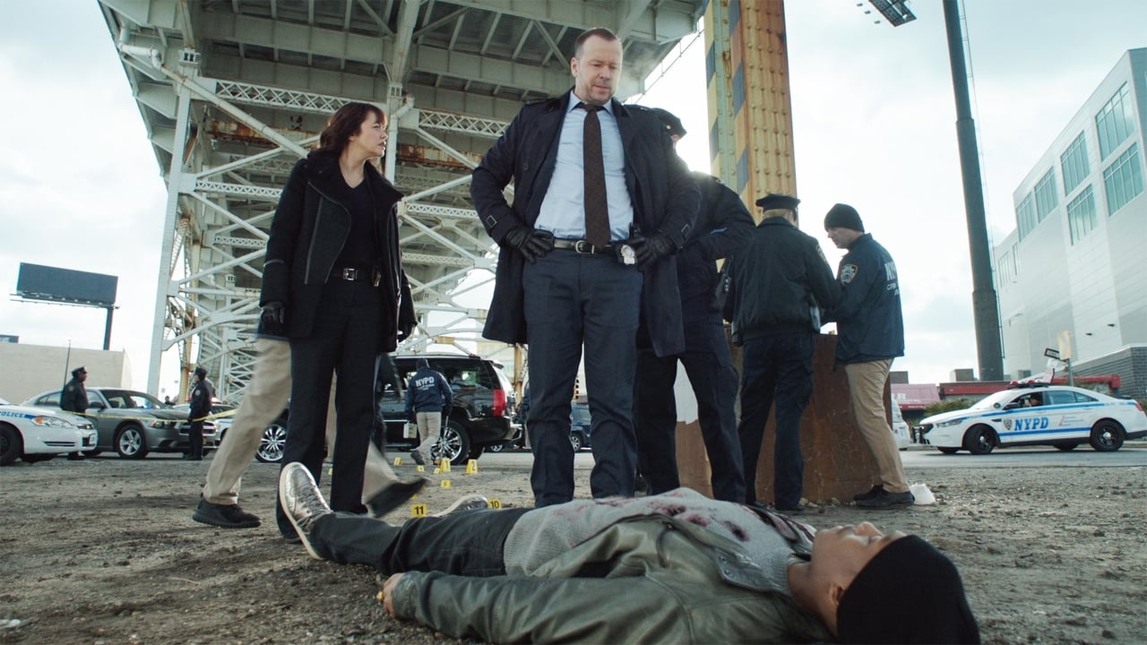 Blue Bloods - Season 7 Episode 14 : In & Out