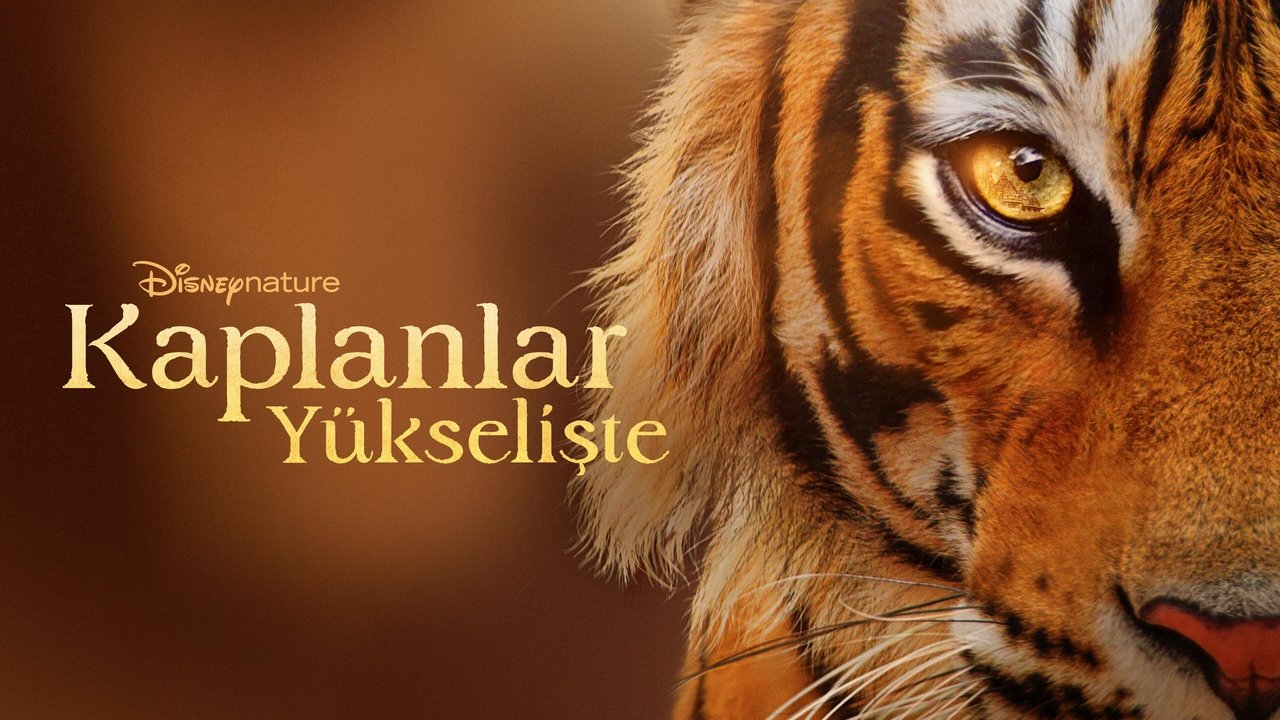 title image