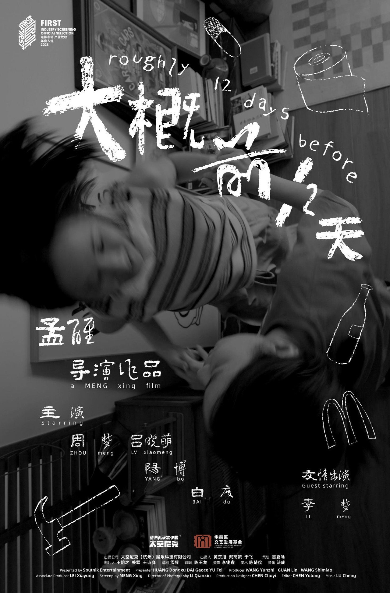 大概前12天 filmaffisch