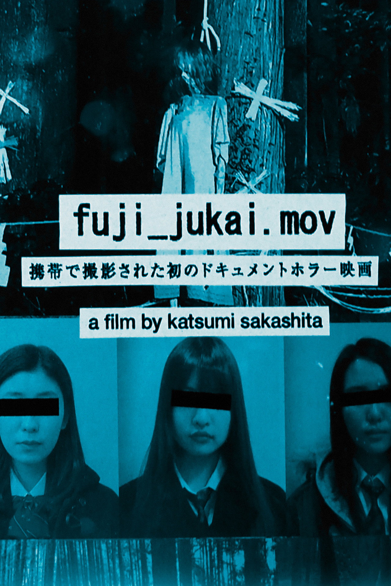 フジジュカイドットエムオーブイ filmaffisch