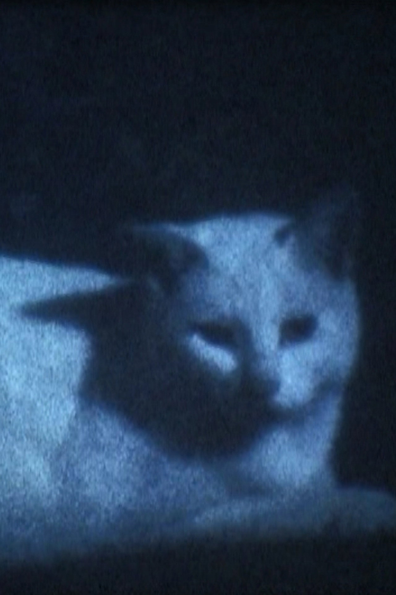 DARK BLACK SHADOW PEOPLE filmaffisch