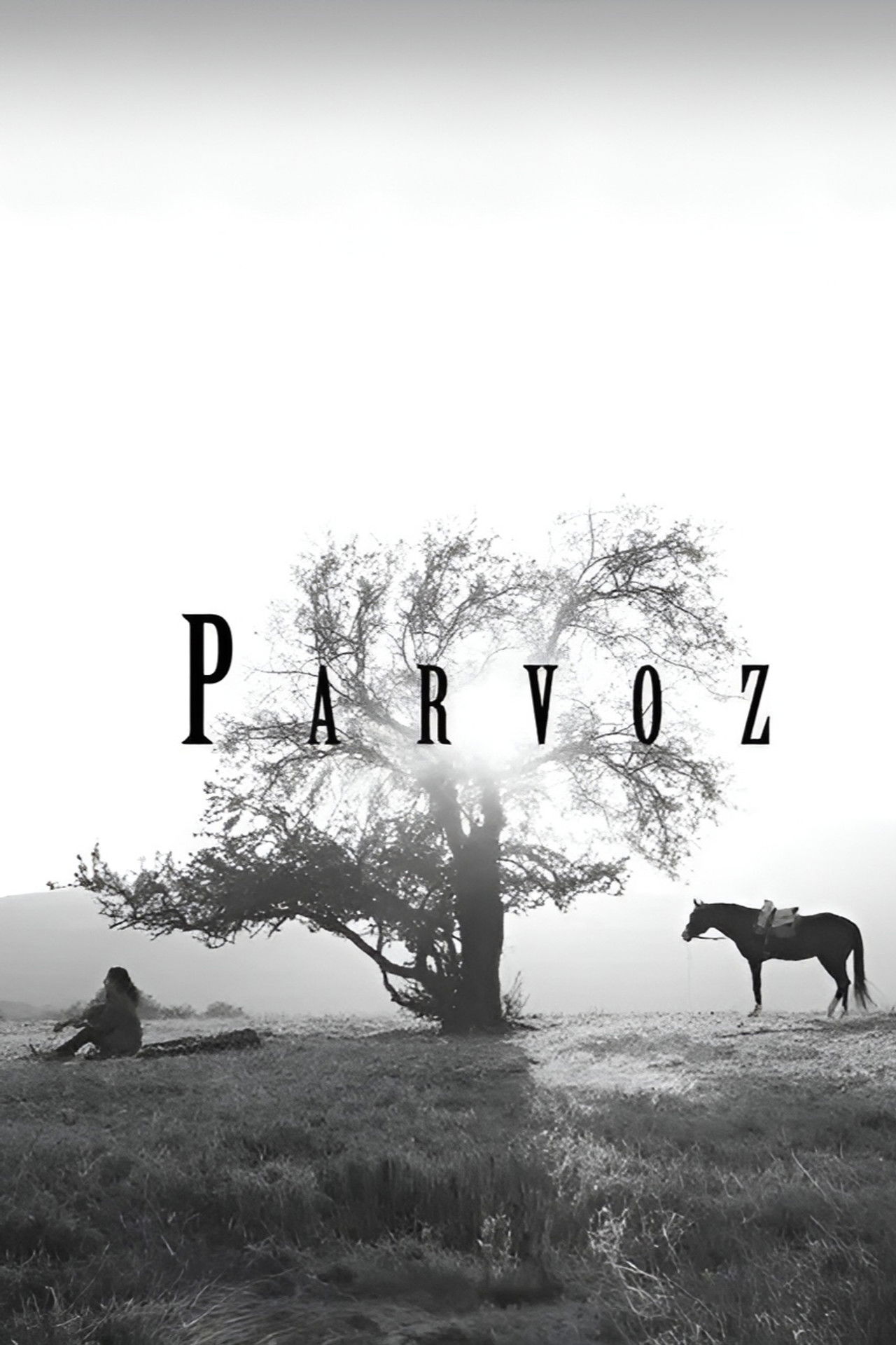 Parvoz Backdrop