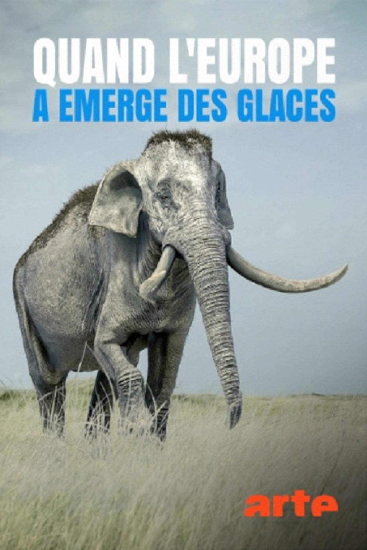 Quand L'Europe A Emergé Des Glaces filmaffisch