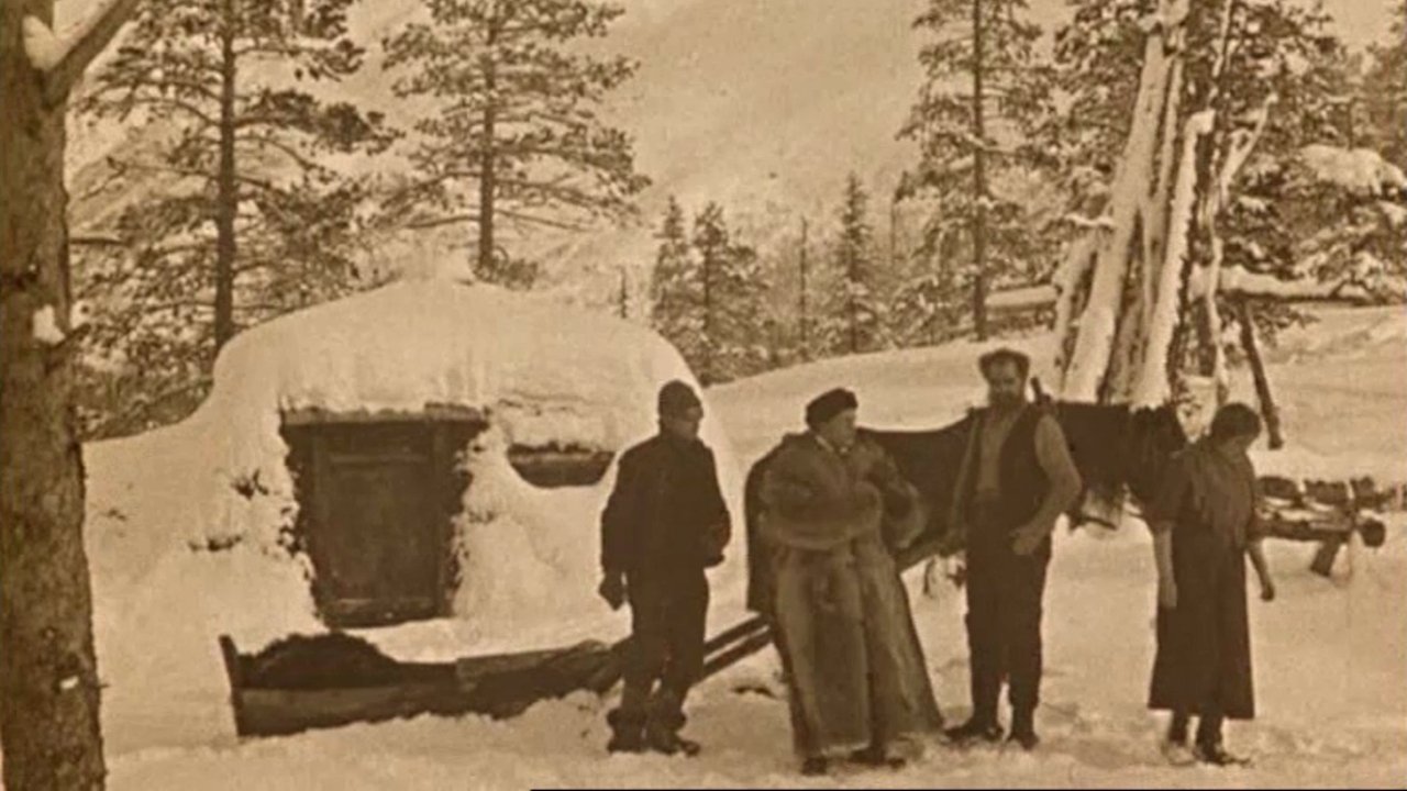 Markens grøde