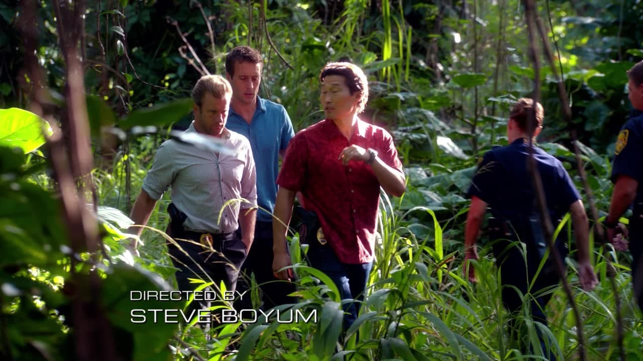 Hawaii Five-0 - Season 2 Episode 17 : Kupale (Defender)