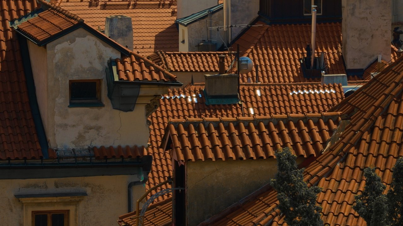 Of Birds and Roofs