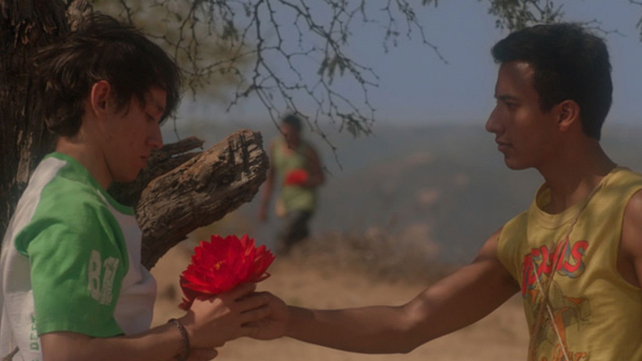 Best of Chéries Chéris — Le combat du tigre