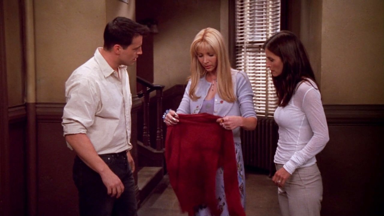 Friends - Season 8 Episode 2 : The One with the Red Sweater