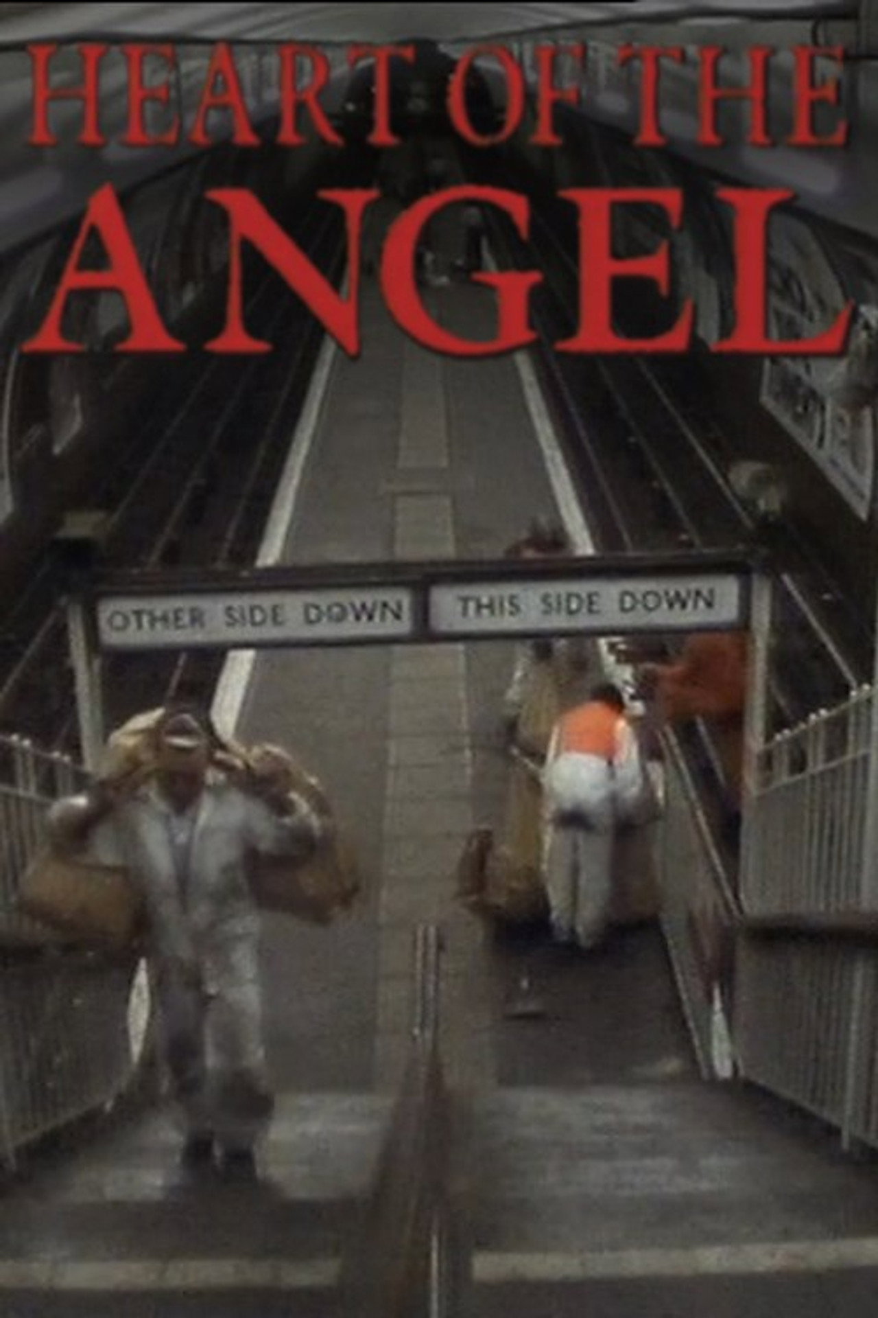 Heart of the Angel Backdrop