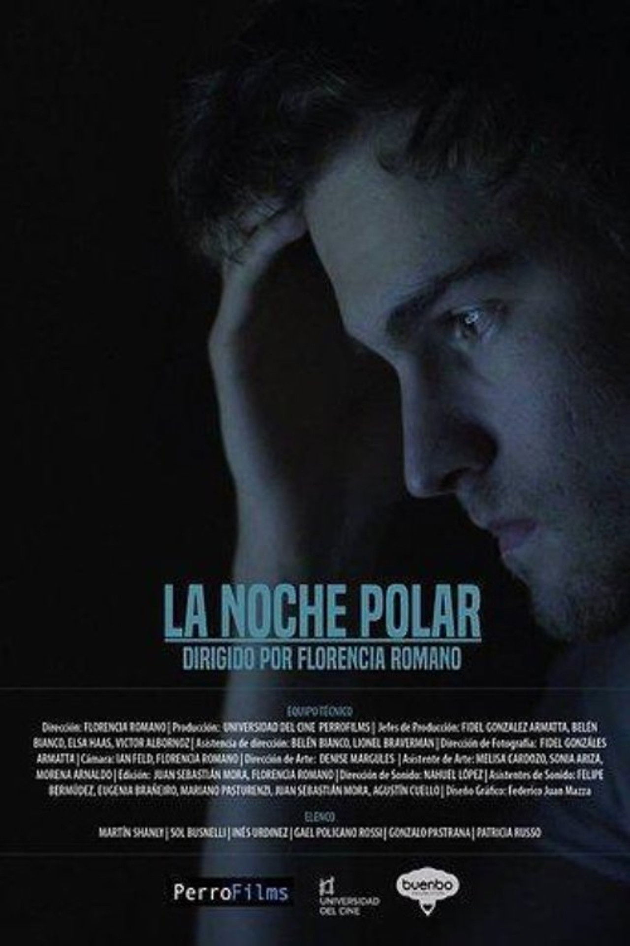 La noche polar Backdrop