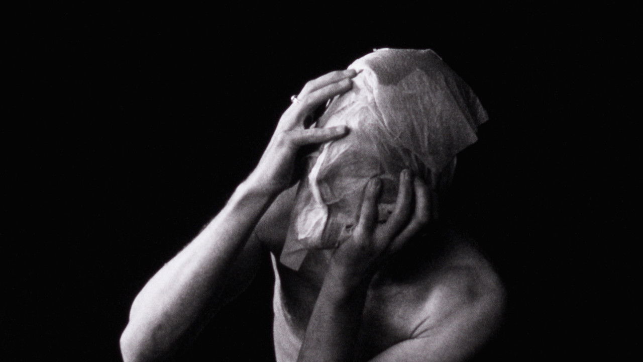 Gdhirë në natën e verës backdrop