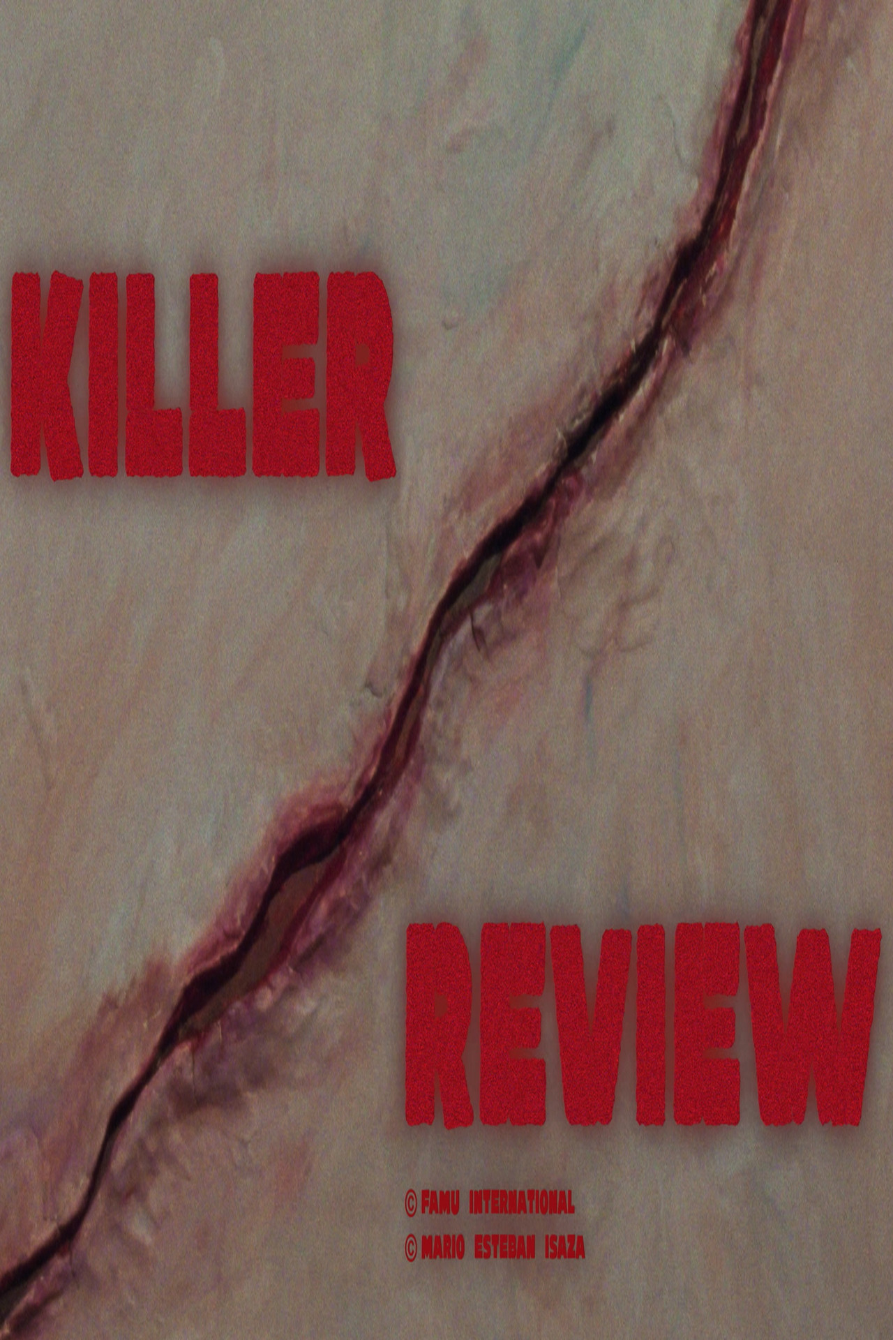 Killer Review filmaffisch