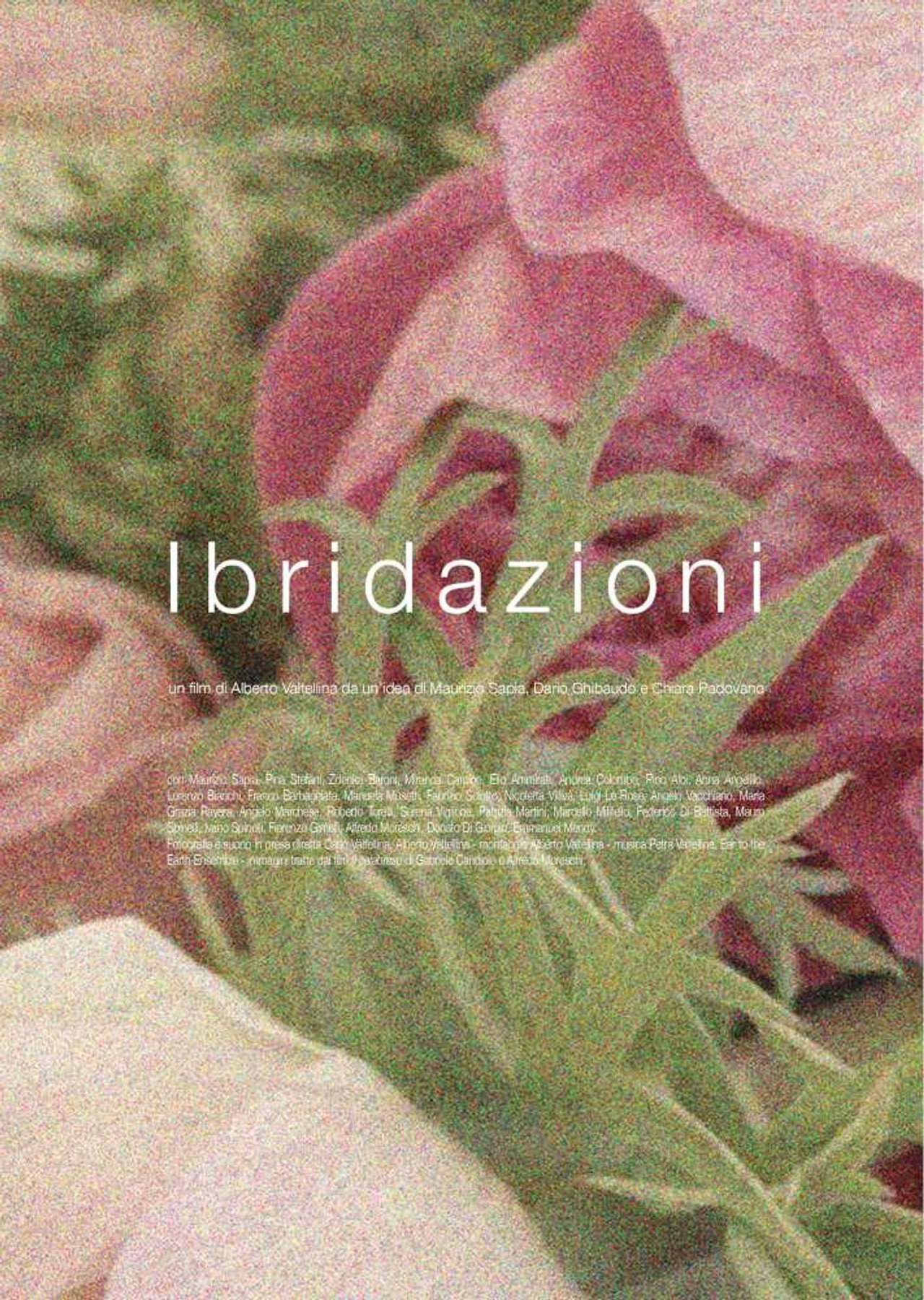 Ibridazioni
