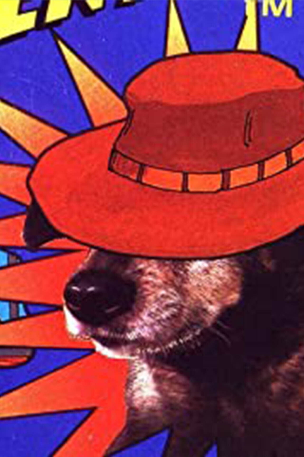 Doggie Adventure Backdrop