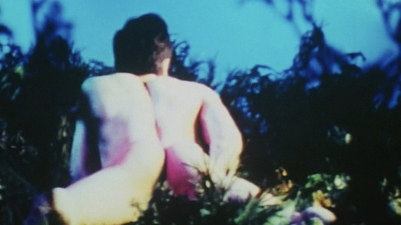 scenes 23