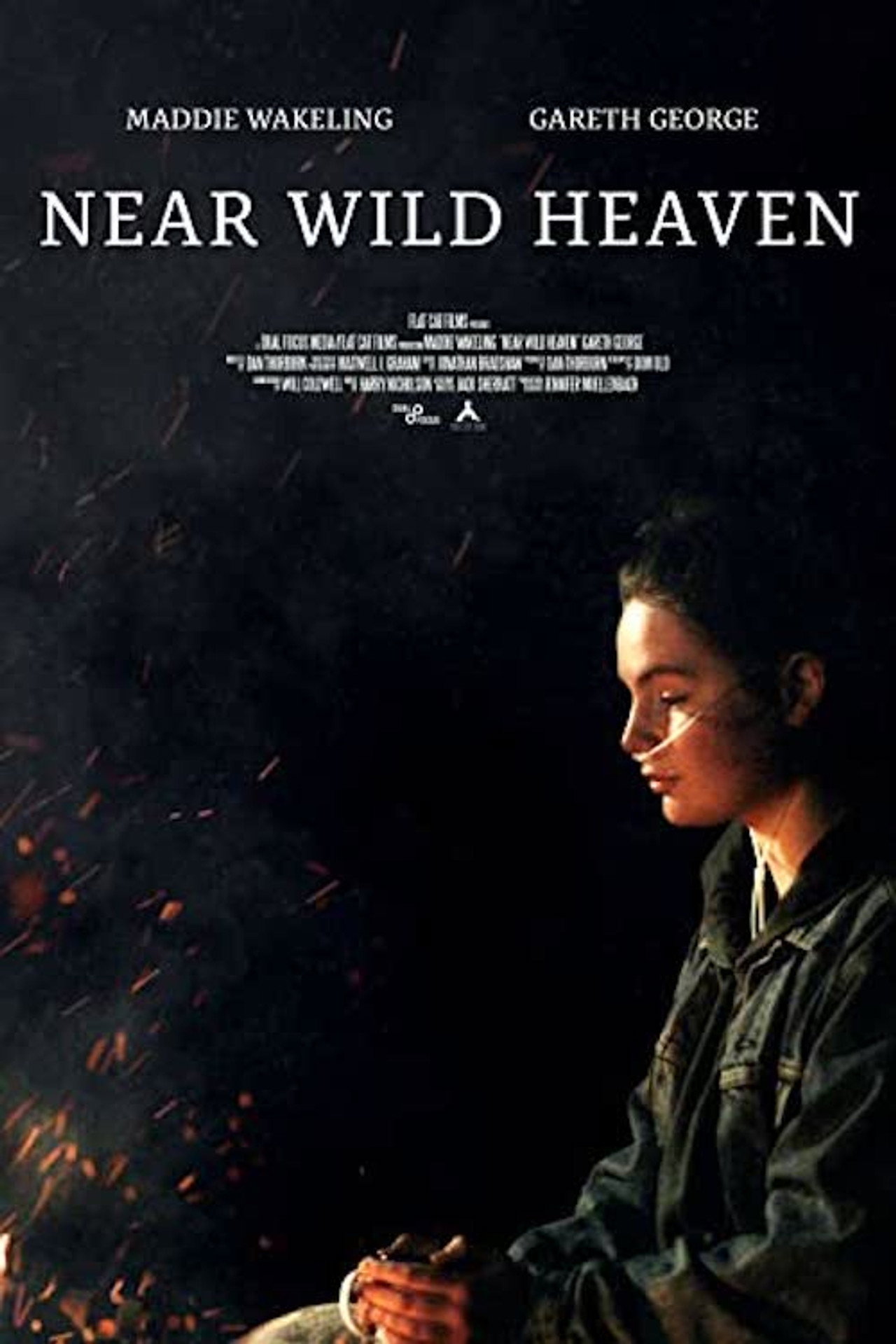 Near Wild Heaven filmaffisch