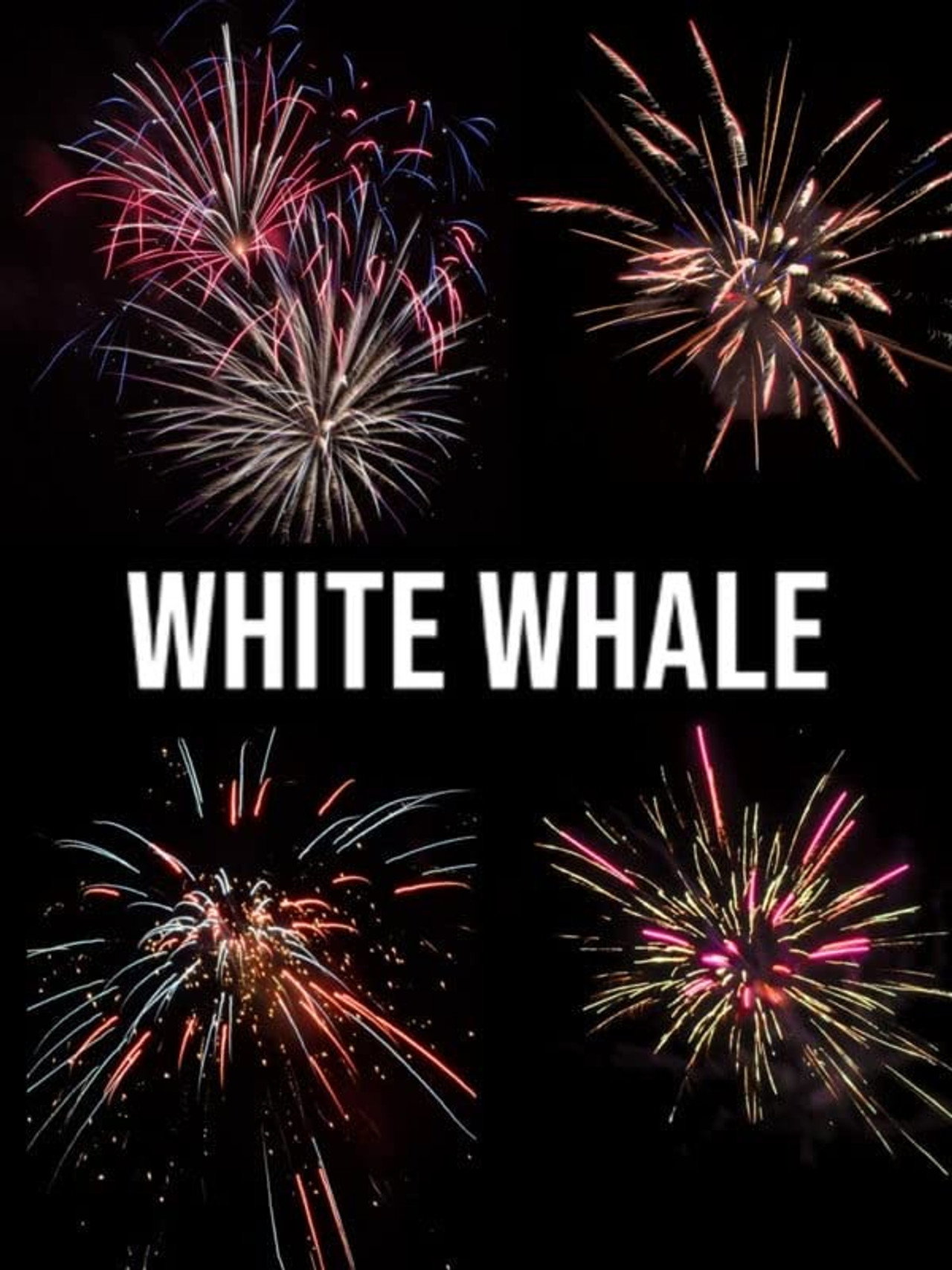 White Whale filmaffisch