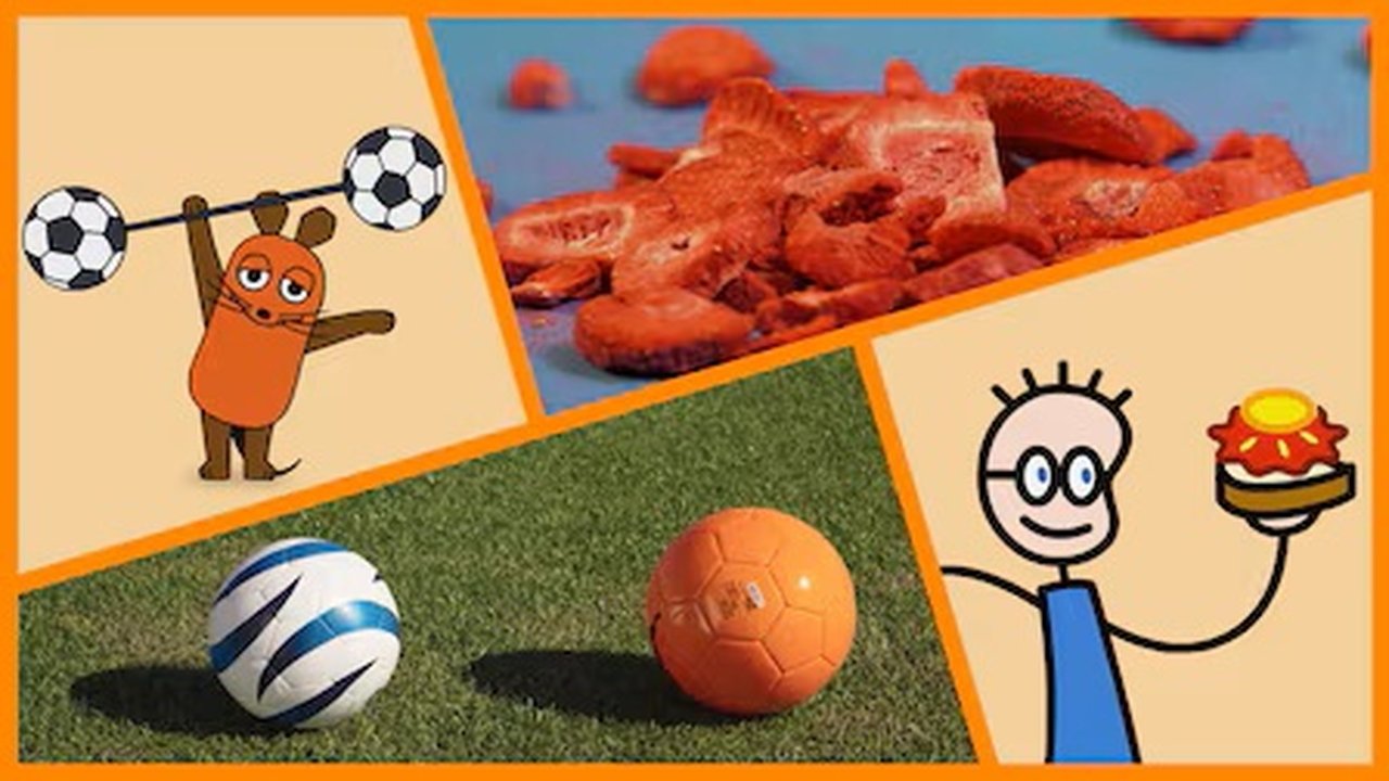 Die Sendung mit der Maus - Season 55 Episode 46 : Episode 46