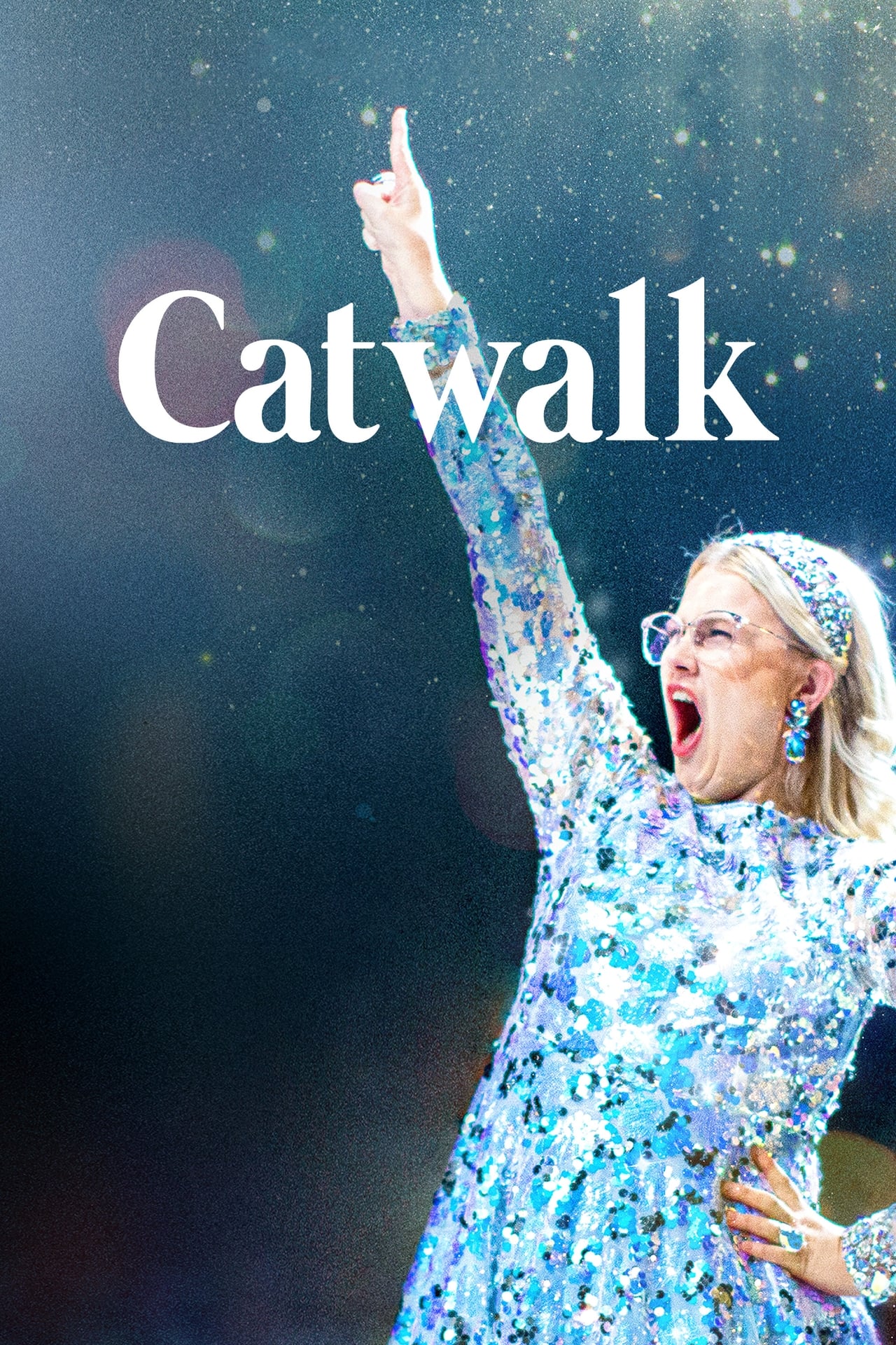 Catwalk - Från Glada Hudik till New York filmaffisch