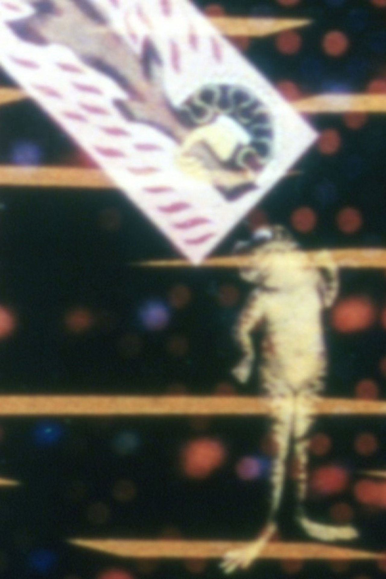 No. 17: Mirror Animations filmaffisch