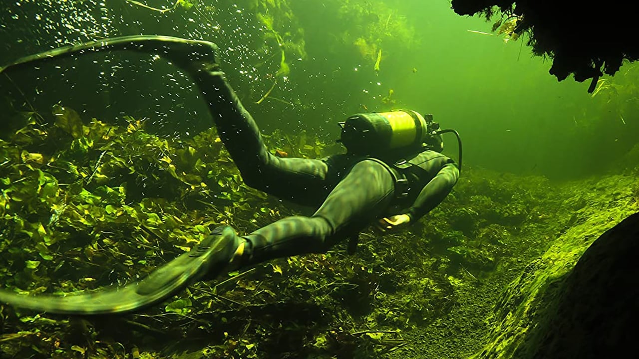 Underwater Okavango background