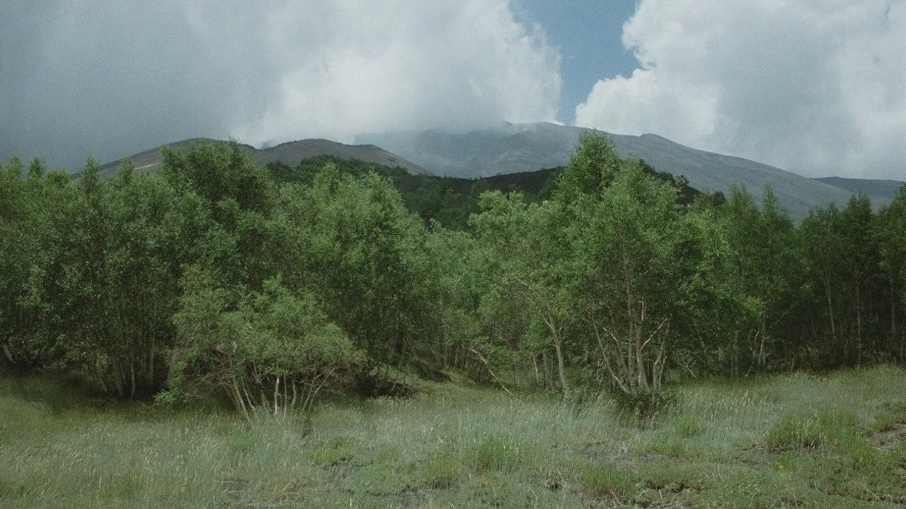 Fondo