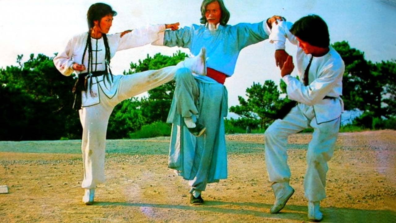 Scen från Twins of Kung Fu