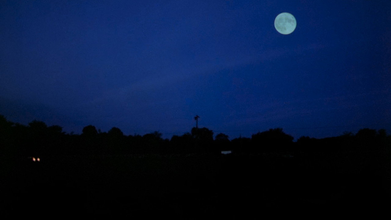 Friday the 13th Part 2 background 110