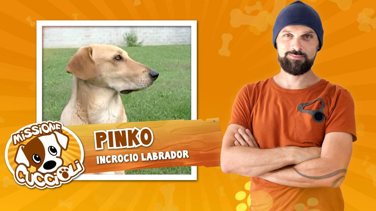 Missione cuccioli — Épisode 9