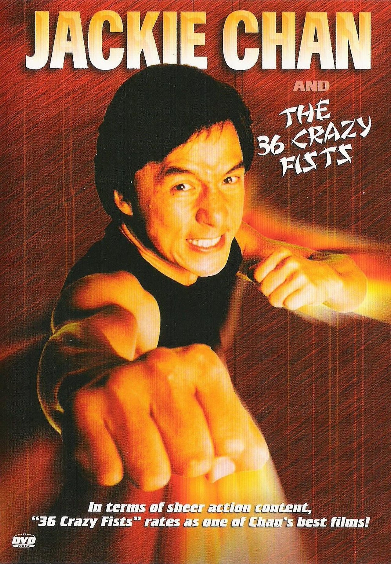 三十六迷形拳 三十六迷形拳