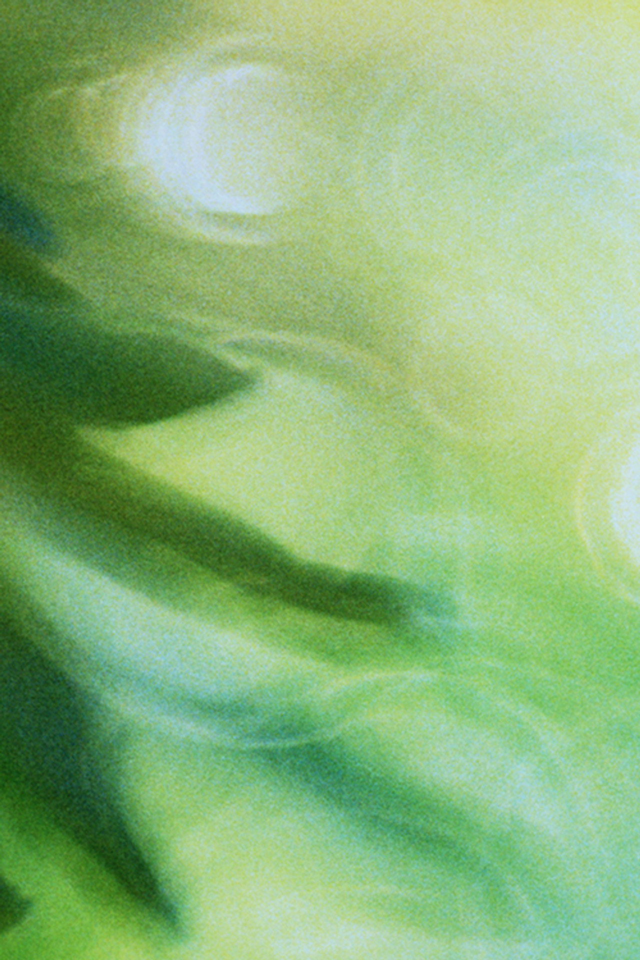 Glide of Transparency filmaffisch