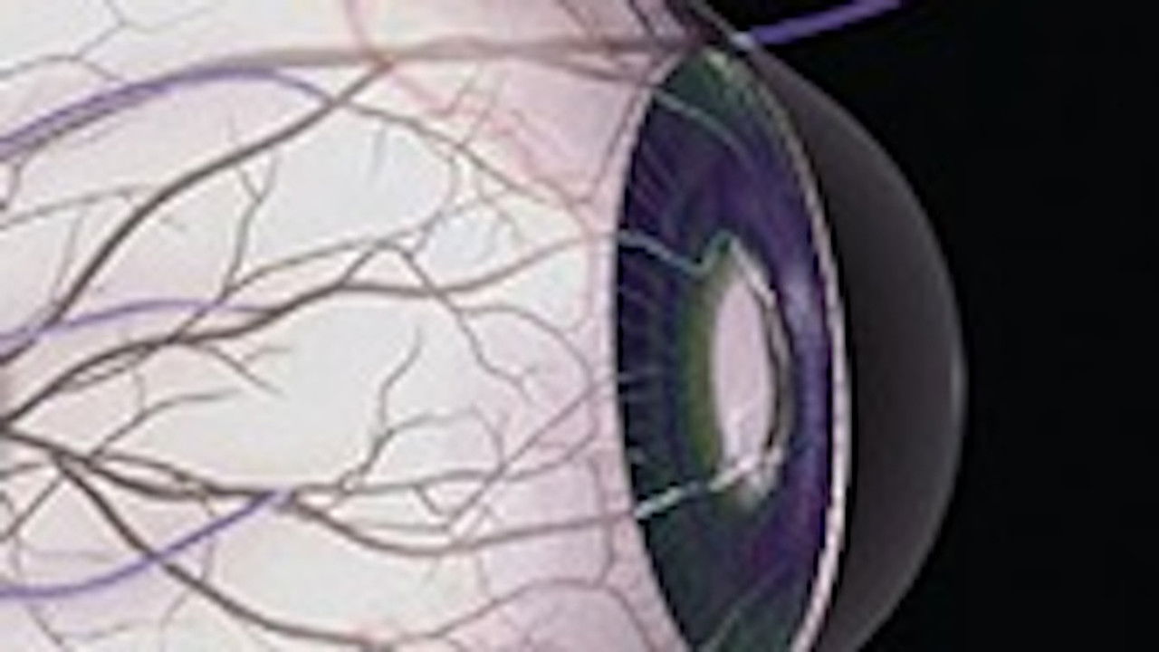 Viaggio nella scienza — Épisode 5