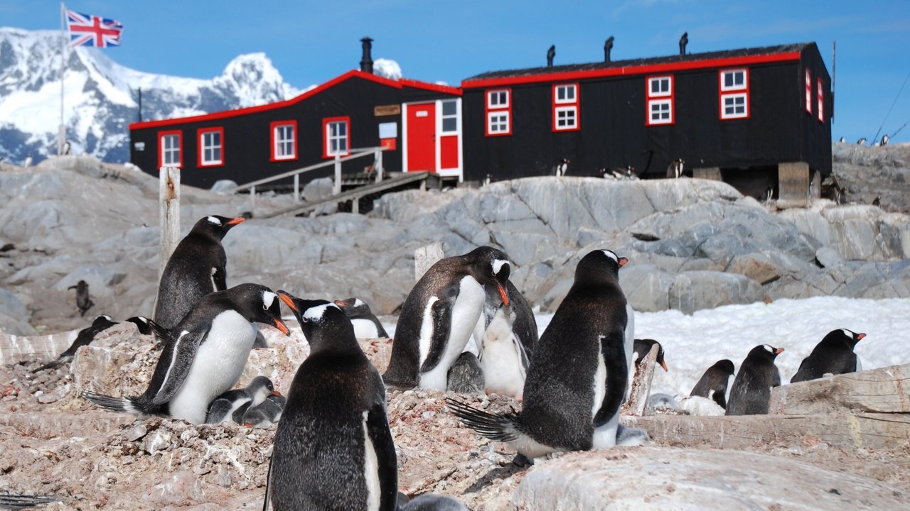 Nature - Season 33 Episode 9 : Penguin Post Office