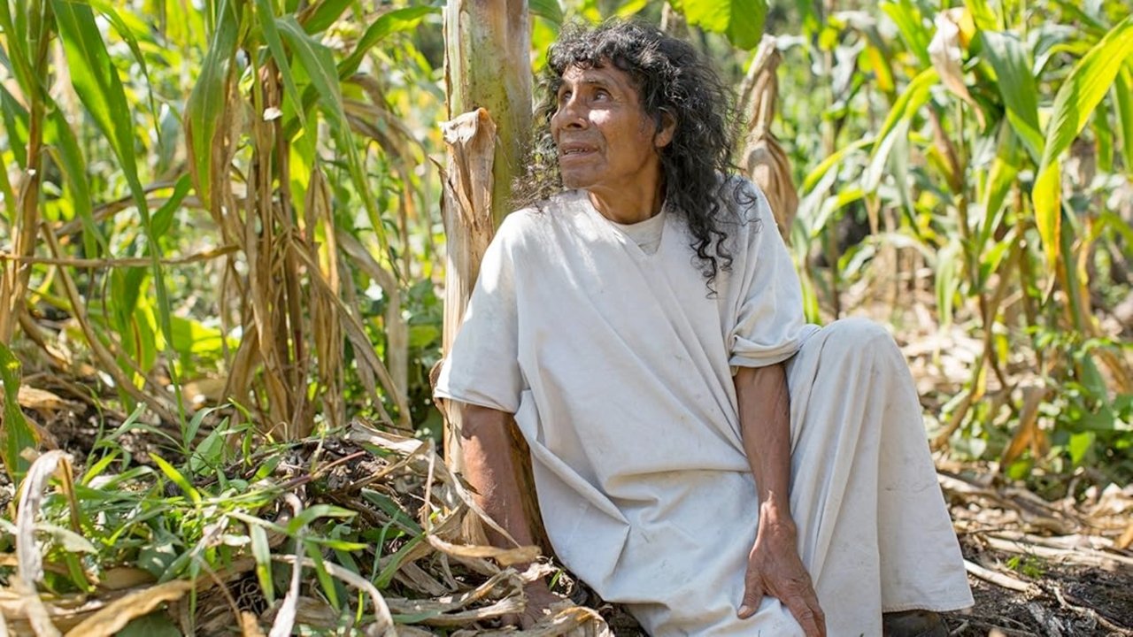 Song of the Last Lacandon Holy Man