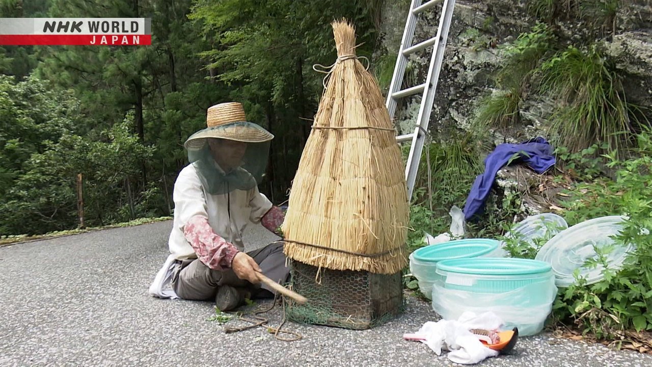 NHK WORLD PRIME - Season 7 Episode 13 : Return to an Abandoned Village: 50 Years in Tsubayama