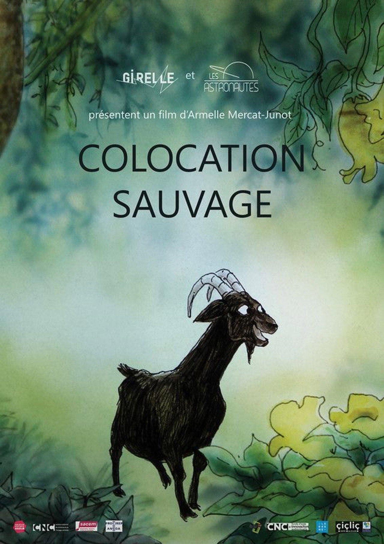 Colocation sauvage filmaffisch