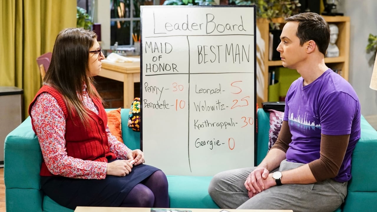 The Big Bang Theory - Season 11 Episode 12 : The Matrimonial Metric