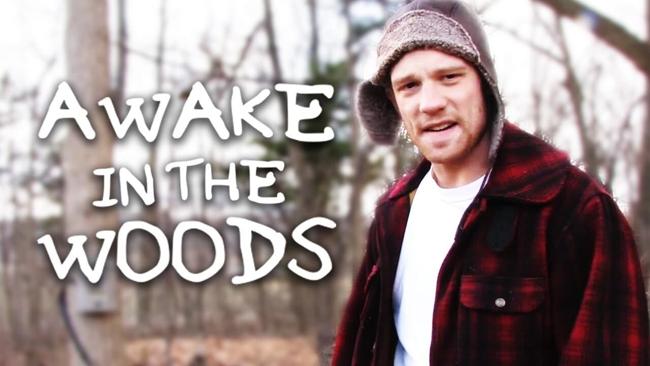 Awake In The Woods (2015)