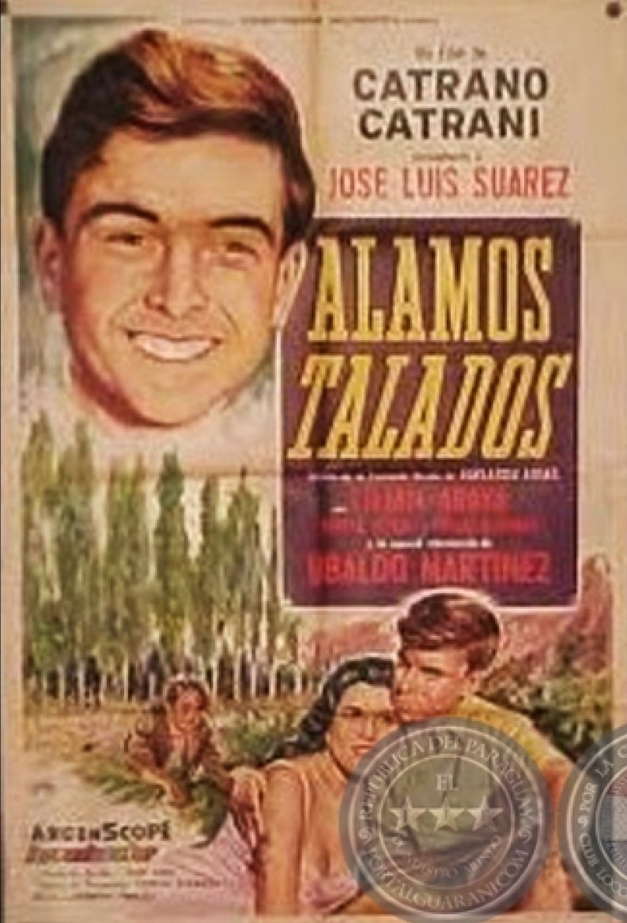 Álamos talados Álamos talados