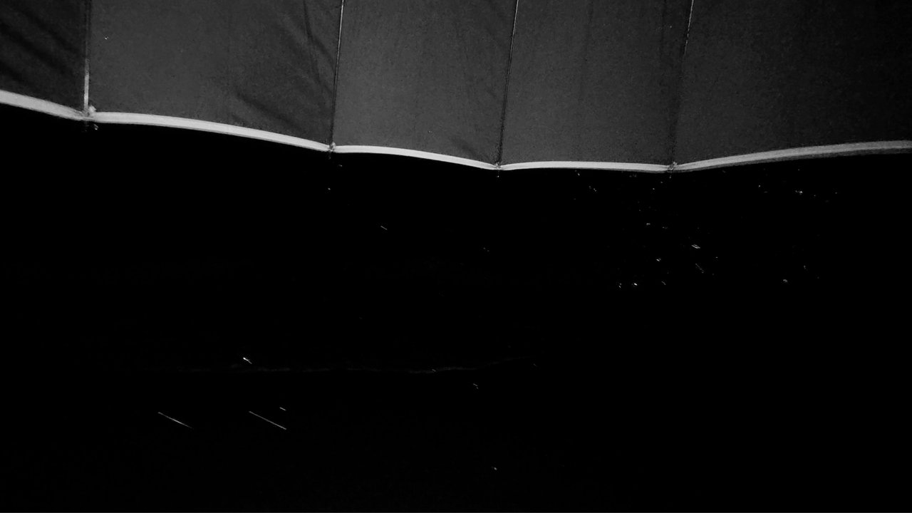 Umbrella