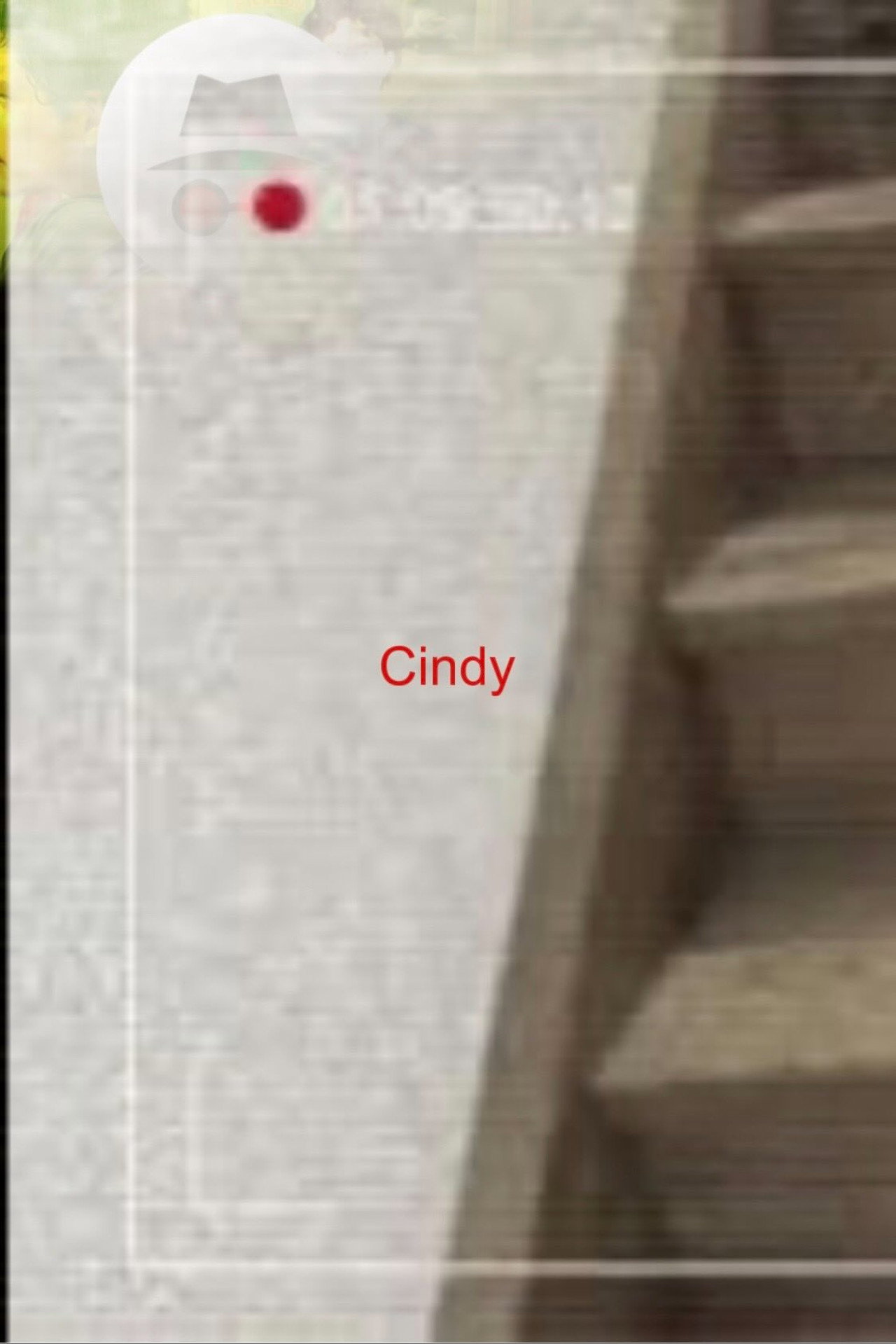 Cindy poster